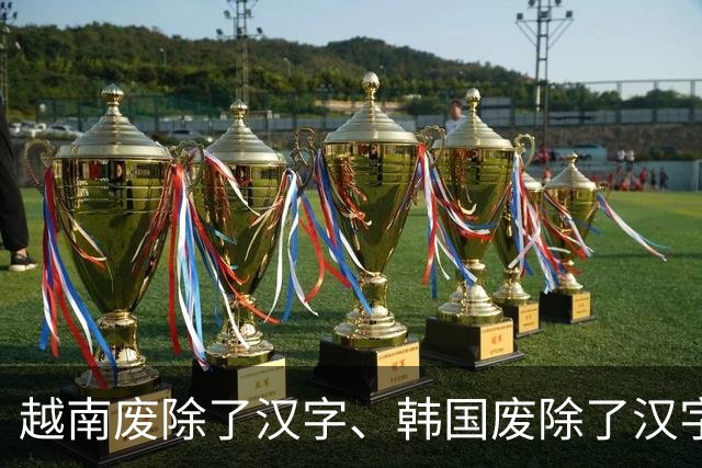 越南废除了汉字、韩国废除了汉字、日本也搞去汉字化，结果呢？越南彻底改用拉丁国语字，扫盲是快了，可当代越南人彻底看不懂自家古籍典章